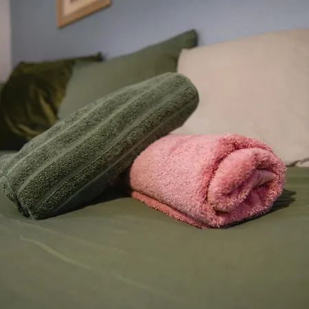 Apartment Cosy Cite Des Congres Wifi Fibre *