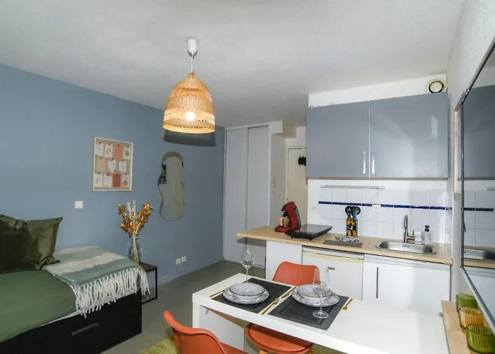 公寓 Cosy Cite Des Congres Wifi Fibre