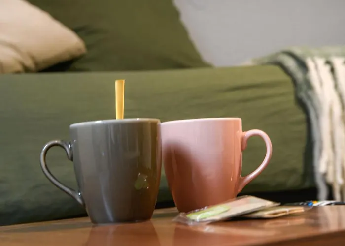 公寓 Cosy Cite Des Congres Wifi Fibre