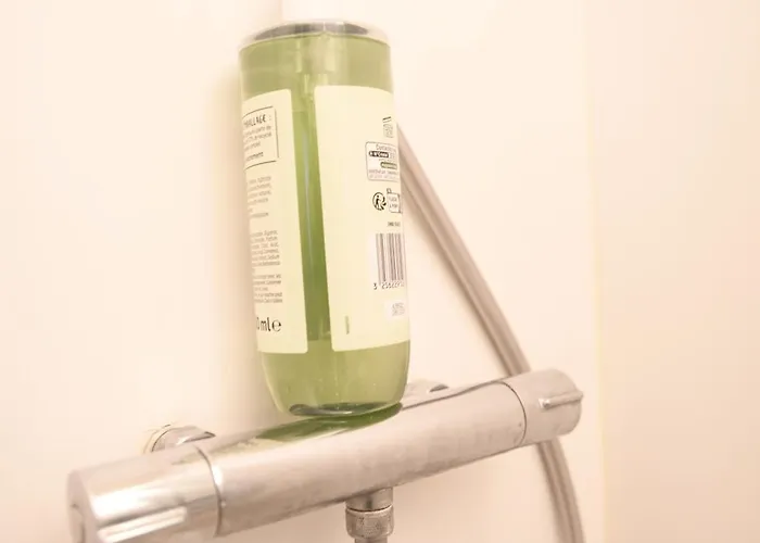 Cosy Cite Des Congres Wifi Fibre *