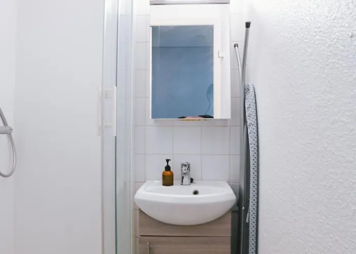 Cosy Cite Des Congres Wifi Fibre 公寓