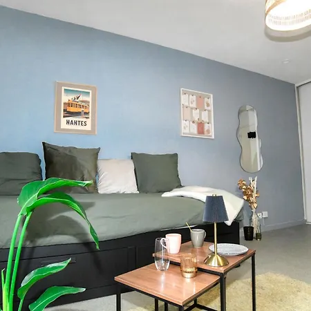 Cosy Cite Des Congres Wifi Fibre Apartment *